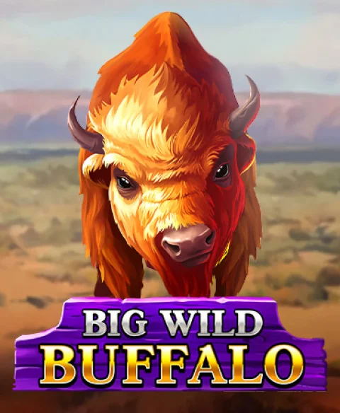 Play Big Wild Buffalo at Instant Bonus Hub Casino